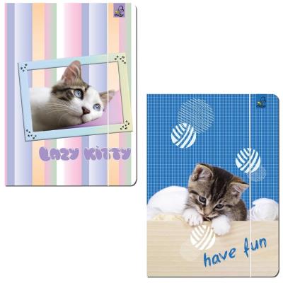 Teczka A4 z gumką Best Friend Koty. Wydawca: Bee-bee. SmakLiter.pl Opakowanie Teczka A4 z gumką Best Friend Koty