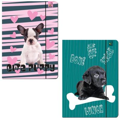 Teczka A4 z gumką Best Friend Psy. Wydawca: Bee-bee. SmakLiter.pl Opakowanie Teczka A4 z gumką Best Friend Psy