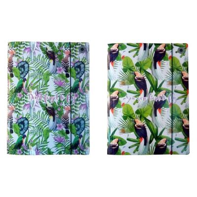 Opakowanie Teczka A4 z gumką Fowl (10szt)