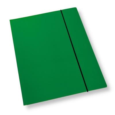 Teczka A4 z gumką lakier zielona 350gsm (10szt). Wydawca: PENWORD. SmakLiter.pl Opakowanie Teczka A4 z gumką lakier zielona 350gsm (10szt)