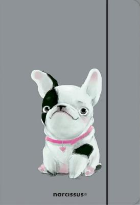 Teczka A4 z gumką Pies. Wydawca: Narcissus. SmakLiter.pl Opakowanie Teczka A4 z gumką Pies