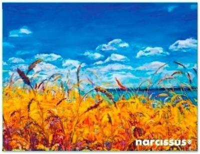 Teczka kopertowa PP A6 Niebo. Wydawca: Narcissus. SmakLiter.pl Opakowanie Teczka kopertowa PP A6 Niebo