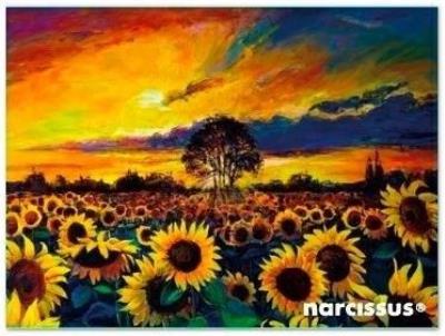 Teczka kopertowa PP A7 Słoneczniki. Wydawca: Narcissus. SmakLiter.pl Opakowanie Teczka kopertowa PP A7 Słoneczniki