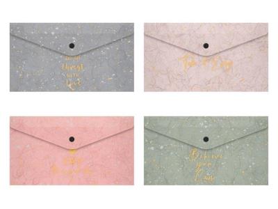 Opakowanie Teczka na zatrzask M DL PP Lux mix Tie