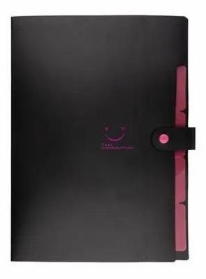 Opakowanie Teczka plastikowa A4 z 5 przegródkami czarna