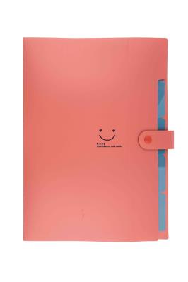 Opakowanie Teczka plastikowa A4 z 5 przegródkami czerwona