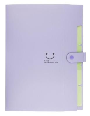 Opakowanie Teczka plastikowa A4 z 5 przegródkami fioletowa