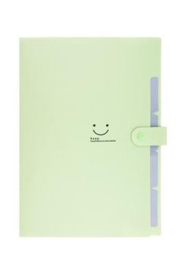 Opakowanie Teczka plastikowa A4 z 5 przegródkami zielona