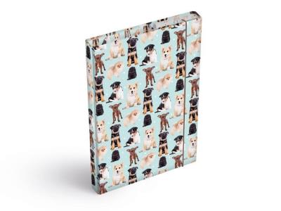 Opakowanie Teczka skrzydłowa z gumką A4 Psy