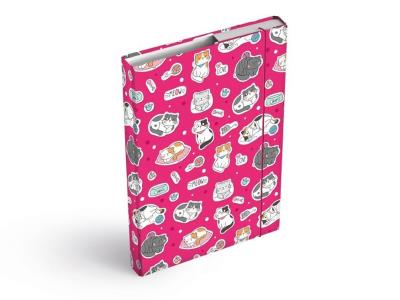 Opakowanie Teczka skrzydłowa z gumką MFP box A4 Cats