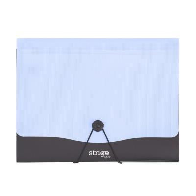 Opakowanie Teczka Vfile A4 z 13 przekładkami błękitna STRIGO