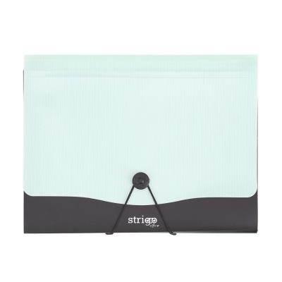 Opakowanie Teczka Vfile A4 z 13 przekładkami miętowa STRIGO