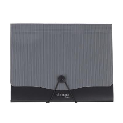 Opakowanie Teczka Vfile A4 z 13 przekładkami szara STRIGO