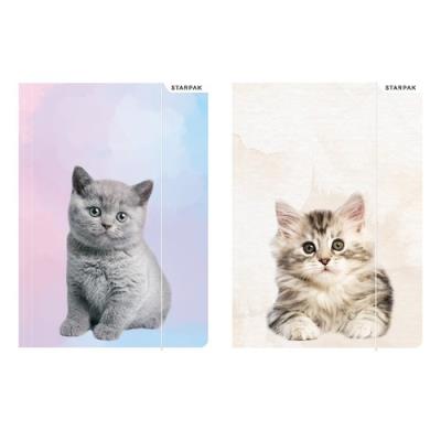 Opakowanie Teczka z gumką A4 Kotki 10 sztuk mix