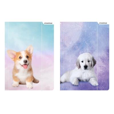 Opakowanie Teczka z gumką A4 Pieski 10 sztuk mix