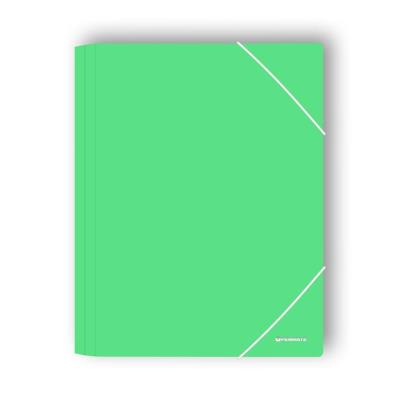 Opakowanie Teczka z gumką A4 PP-102 zielona PENMATE