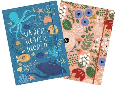 Opakowanie Teczka z gumką C4 mix (10szt)