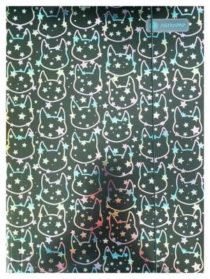 Opakowanie Teczka z gumką Holographic A4 Holo shine 10 sztuk