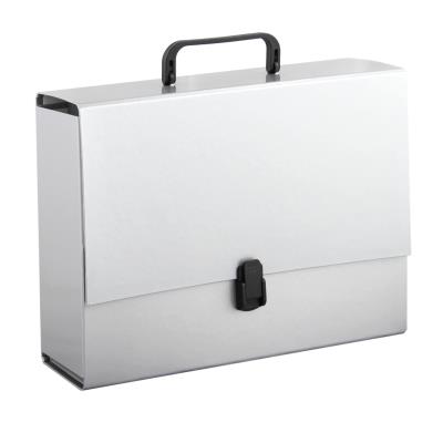 Opakowanie Teczka z rączką A4 10 cm Penmate srebrna