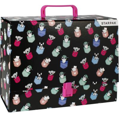 Opakowanie Teczka z rączka A4 minisy