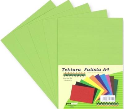 Opakowanie Tektura A4 falista pistacjowa 5szt