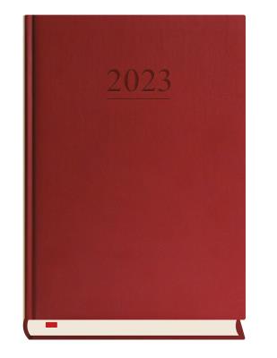 Opakowanie Terminarz 2021 Menadżera MiP bordo