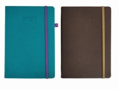 Opakowanie Terminarz 2023 A5 DN krokodylek MIX ARTSEZON