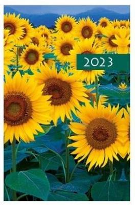Opakowanie Terminarz 2023 B7 Kolorowy kwiaty