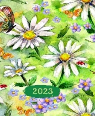 Opakowanie Terminarz 2023 Tyg. lakiet MIX ARTSEZON