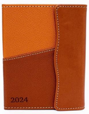 Opakowanie Terminarz 2024 tygodniowy A6+ Waran brązowy