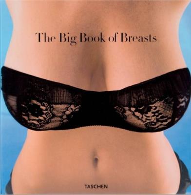 The Big Book of Breasts. Autor: Hanson Dian. SmakLiter.pl Okładka książki The Big Book of Breasts