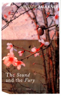 The Sound and the Fury. Autor: Faulkner William. SmakLiter.pl Okładka książki The Sound and the Fury