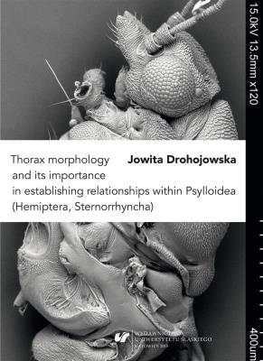 Okładka książki Thorax morphology and its importance...