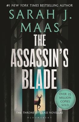 TOG:Assassin’s Blade TOG Adult. Autor: Sarah J. Maas. SmakLiter.pl Okładka książki TOG:Assassin’s Blade TOG Adult