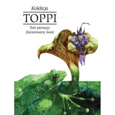Toppi Kolekcja Tom 1 Zaczarowany świat. Autor: Toppi Sergio. SmakLiter.pl Okładka książki Toppi Kolekcja Tom 1 Zaczarowany świat