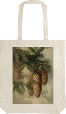 Opakowanie Torba bawełniana STBAG 56 Szyszki jodły