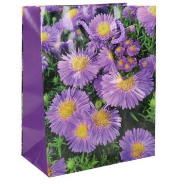 Opakowanie Torba ozdobna 17,8x10,2x22,8cm (12szt)