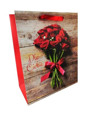 Opakowanie Torba prezentowa AL-26