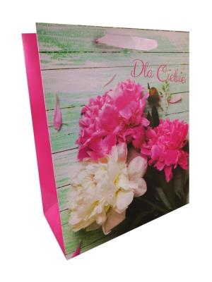 Opakowanie Torba prezentowa AL-28