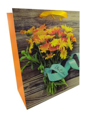 Opakowanie Torba prezentowa AM-27