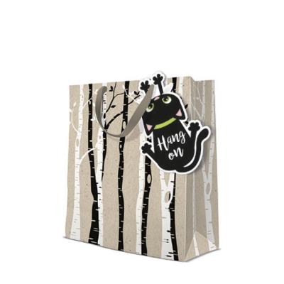 Opakowanie Torba prezentowa Wytrzymać L