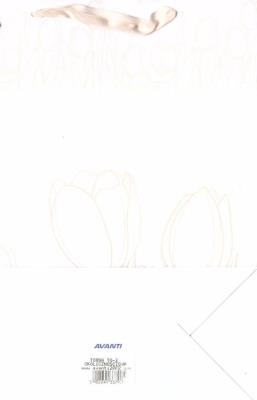 Opakowanie Torba TO-2 okolicznościowa MIX AVANTI