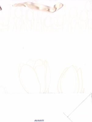 Opakowanie Torba TO-3 okolicznościowa MIX AVANTI