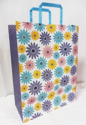 Opakowanie Torebka kolor KRAFT 250x345x150