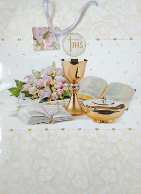 Okładka książki TOREBKA MAXI 003-PAN DRAGON