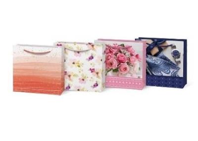 Opakowanie Torebka na prezent T 170x170x60