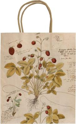 Opakowanie Torebka ozdobna A5 STBAG118 Poziomka