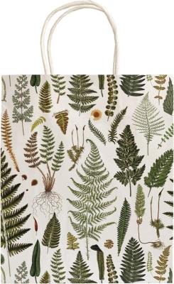 Opakowanie Torebka ozdobna A5 STBAG128 Paprotki