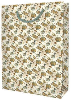 Opakowanie Torebka ozdobna BXS502C41C Globusy średnia