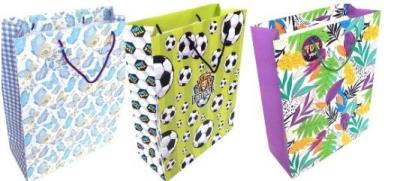 Opakowanie Torebka ozdobna matowa 32x42x14cm mix FRESH